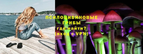 мдпв Беломорск