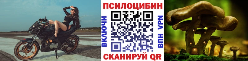 Псилоцибиновые грибы мухоморы Мончегорск