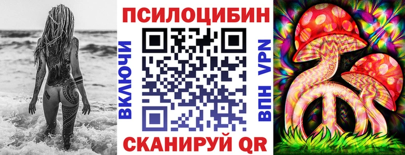 где купить наркоту  Мончегорск  Галлюциногенные грибы мицелий 